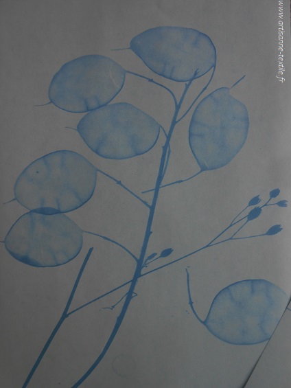 Daruoand Lot de 30 papiers cyanotypes 5,8 x 8,3 haute sensibilité Papier  d'impression solaire Nature DIY Craft Papier à dessin solaire